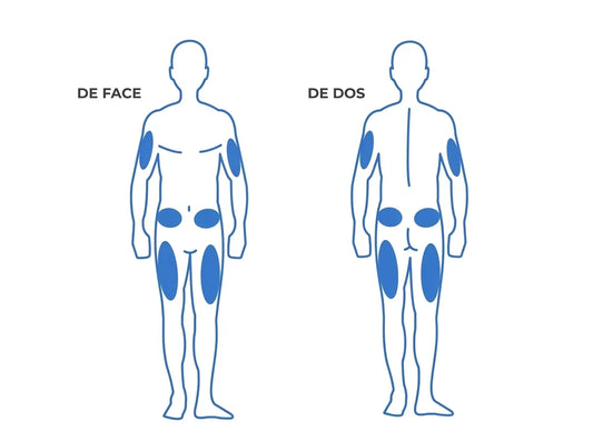 Schéma des zones de pose d'un capteur ou d'un pod, de face et de dos : bras, abdomen, cuisses et fessiers